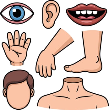 Collection of human body parts isolated on a white background illustration vector