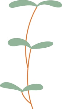 Beet Sprout Microgreen Illustration vector