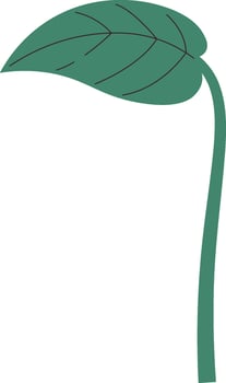 Tropical Leaf Icon Drawn vector