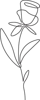 Rose Flower Outline vector