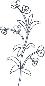 Flower Plant Outline Drawn vector