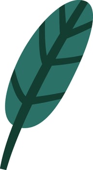 Tree Leaf Plant vector
