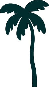 Palm Tree Doodle Drawn Icon vector