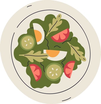 Salad In Plate vector
