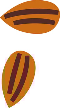 Sunflower Seeds Icon vector