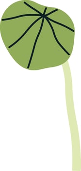 Nasturtium Microgreen Sprout Illustration vector