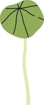 Nasturtium Microgreen Sprout Flat Illustration vector
