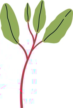 Magenta Spreen Sprout Illustration vector