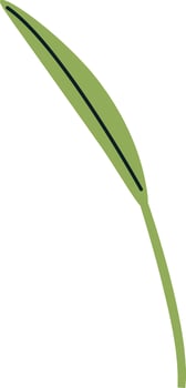 Wheat Plant Sprout Flat Illustration vector
