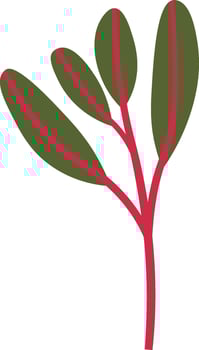 Chard Sprouts Microgreen vector