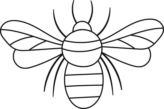 Bee Insect Lined Illustration vector