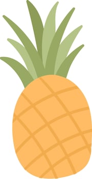 Pineapple Fruit Food vector