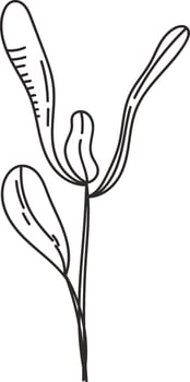 Beet Micro Greens Sketch vector