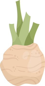 Celery On Stem vector
