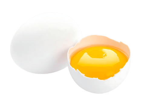 Egg yolk isolated on transparent background png