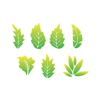 Green leaves set vector