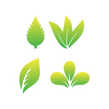 Different green leaves vector