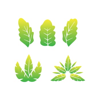 leaf icon set vector
