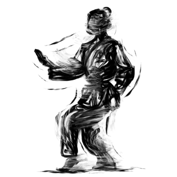 Taekwondo Athlete Silhouette Graphic png