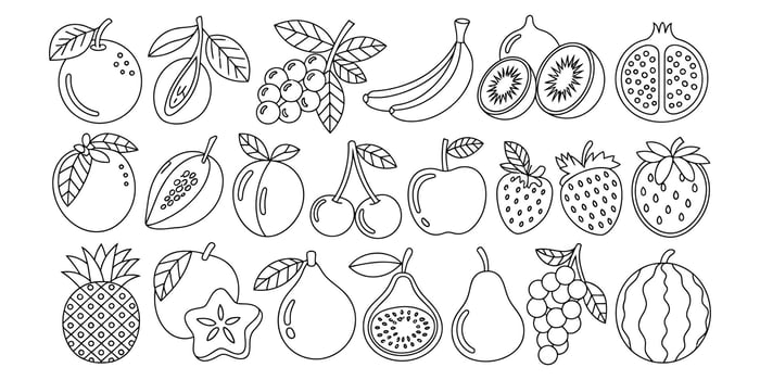 Line Art Fruit Collection Cheerful Black and White Illustrations of Various Fruits, Including Whole and Halved Options, Perfect for Coloring Books, Educational Materials, or Fresh Food Branding vector