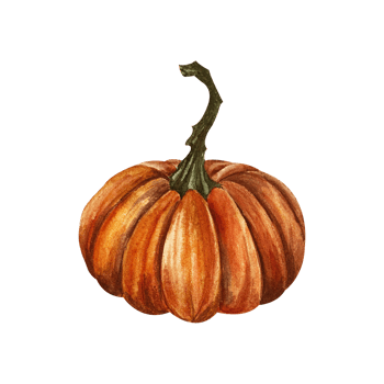 Orange pumpkin with stem. Watercolor illustration isolated from background. Hand drawn autumn ripe textured vegetable. For composition of Halloween design, decoration, postcards. Logo packaging png
