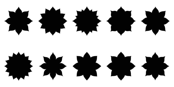 Collection of ten black starburst shapes on a white background vector