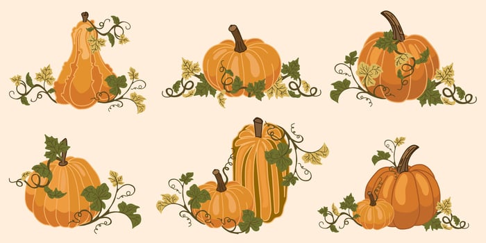 Illustration of various pumpkins and gourds vector