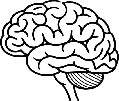 Detailed brain illustration isolated on white background representing intelligence vector