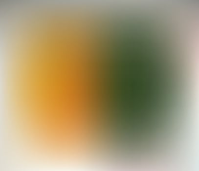 A blurry image of a green and orange background vector