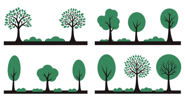 Four different types of trees in different stages of growth vector