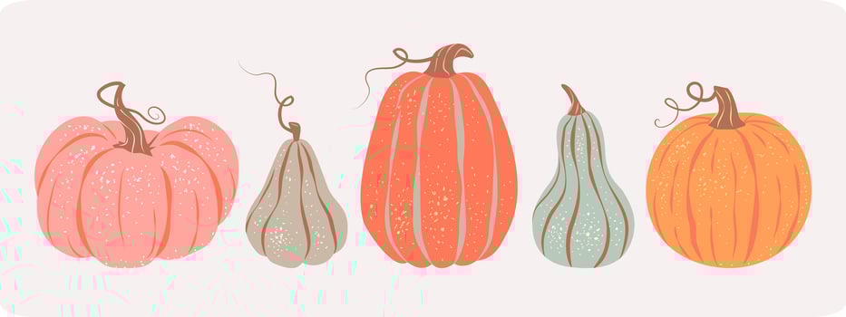 set of colorful various pumpkins in retro style isolated on pastel background. vector