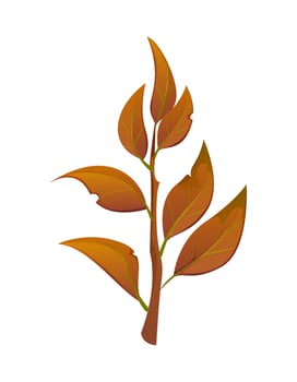 Autumn leaf, cartoon tree foliage branch vector