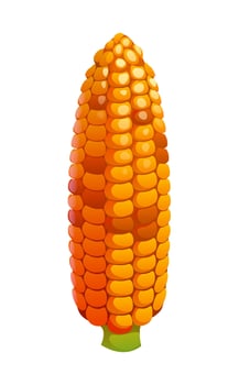 Illustration of corn on the cob vector