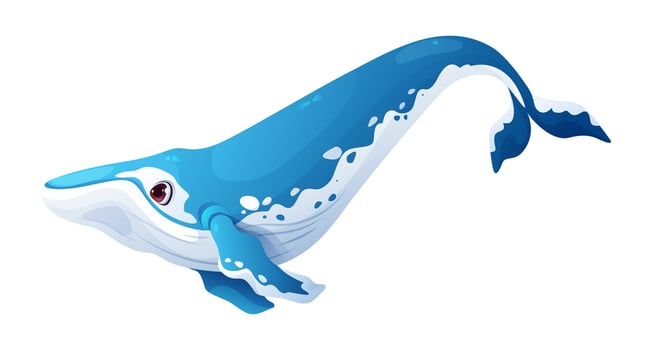 Cartoon whale swimming in blue water vector