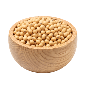 Soybeans in wood bowl png