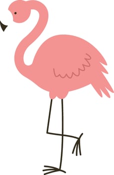 Flamingo Bird Hand Drawn vector