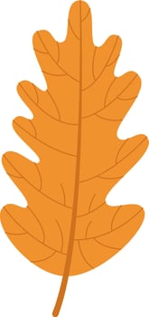 Illustration Autumn Oak Leaf vector