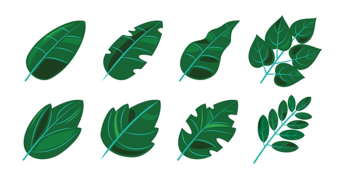 Tropical Green Leaves Set vector