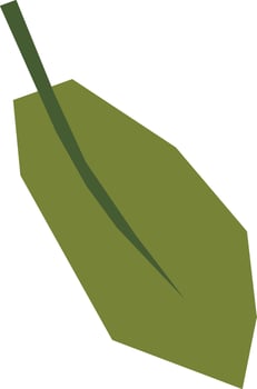Tree Leaf Hand Drawn Illustration vector