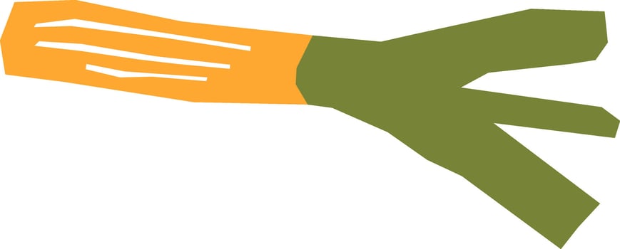 Leek Hand Drawn vector