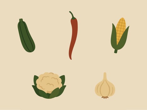 Vegetables simple icons zucchini chili corn cauliflower garlic vector