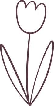 Tulip Flower Doodle Illustration vector