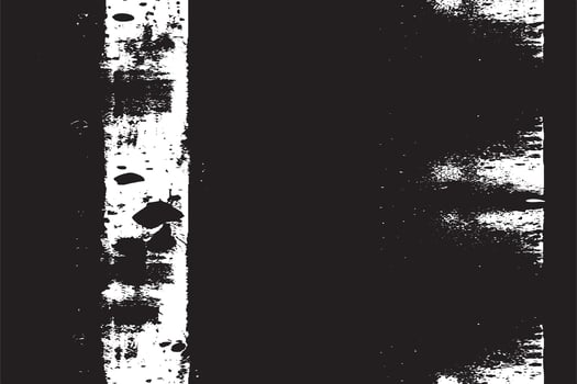 Distressed Black and White Stripe Pattern vector
