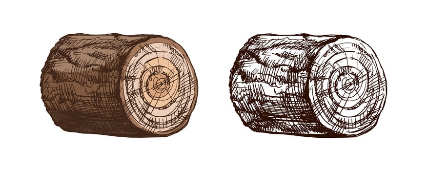 Hand drawn vintage sketch of wooden log or timber piece in monochrome and color rustic style vector