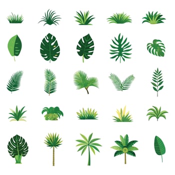 Collection of tropical and jungle plant illustrations vector