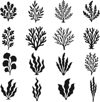 Collection of stylized silhouette botanical illustrations vector