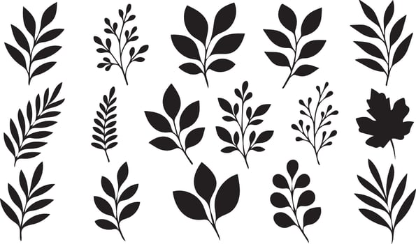Collection of black silhouette botanical leaf sprigs and branches vector