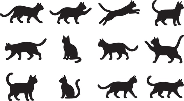 Collection black cat silhouettes in various poses vector