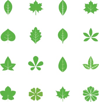 Collection of various green leaf icons in a grid pattern vector