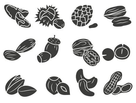 Various nuts. A collection of different dark nuts. Concept of healthy eating. vector